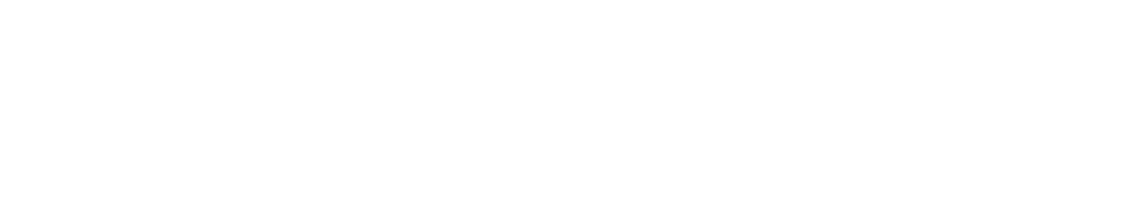 BraveSpace Logo